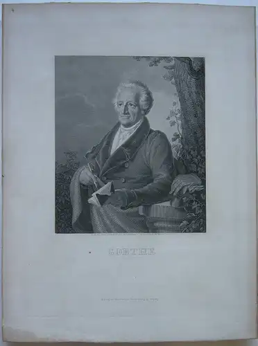Johann Wolfgang Goethe Portrait Halbfigur Orig Kupferstich Schwerdgeburth 1832