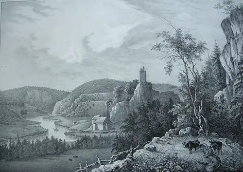 Dietfurt Sigmaringen Donautal Orig Lithografie Ring nach Adam 1829