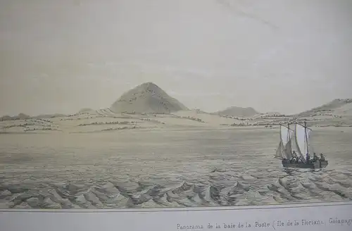 Panorama Floriana Galapagos Orig. Lithografie Sabatier 1840 Voyage Venus