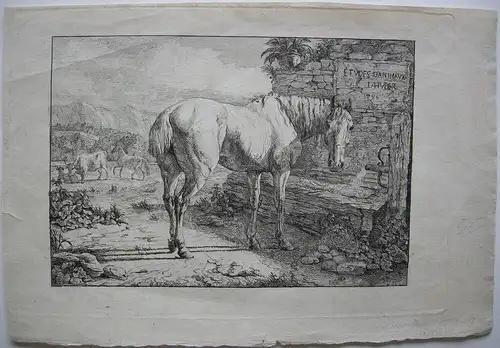Jean-Daniel Huber (1754-1845) Pferd an der Tränke Orig Kupferstich 1786