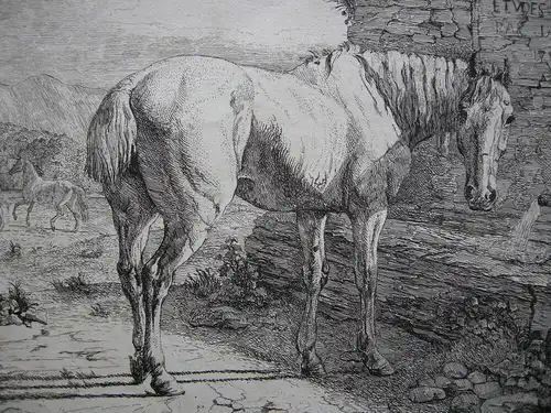 Jean-Daniel Huber (1754-1845) Pferd an der Tränke Orig Kupferstich 1786