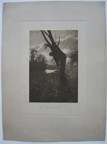 Heinrich Kühn (1866-1944) Hebstabend am Moor Fotogravüre 1897