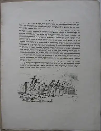 Wilhelm Gail Erinnerungen aus Spanien Stierkampf Corrida Text 1837