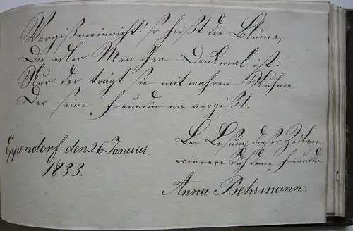 Stammbuch Liber Amicorum Hamburg 1824.1860 Ganzleder 3 Aquarelle 25 Einträge