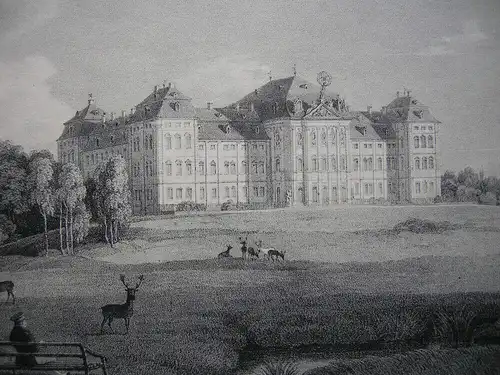 Pommersfelden Schloss Weissenstein Oberfranken Orig Lithografie 1840 A. Borum