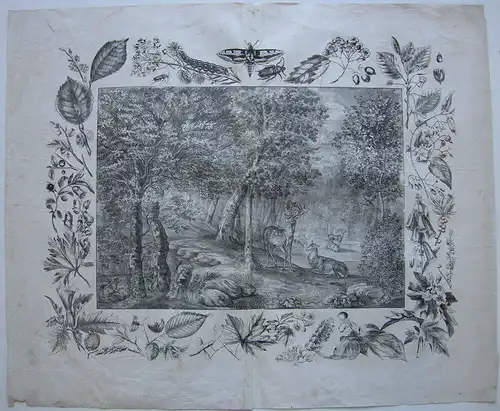 Pflanzen und Tiere des Waldes Botanik 3 große Orig. Lithografien 1860