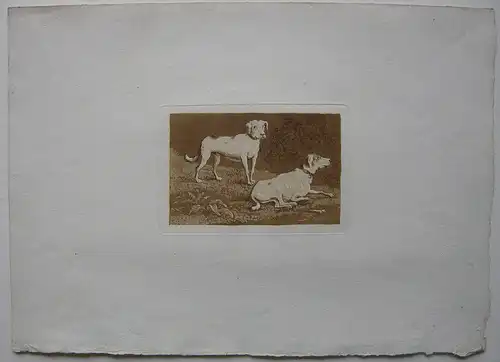 Ludwig Heß (1760-1800) Zwei Hunde Orig Aquatinta in Sepia um 1795