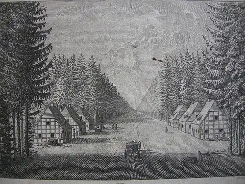 Friedr. Gottl. Endler (1763-1830) Wallock Schlesien Kupferstich 1800 Slask Polen