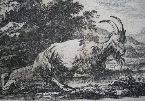 Joh. Heinr. Roos (1631-1685) Liegende Ziege vor Wasserfall Orig Kupferstich 1670