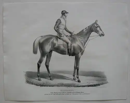 Rennpferd Massaroni Fuchs-Hengst Orig. Lithografie Winckelmann u. Söhne 1835
