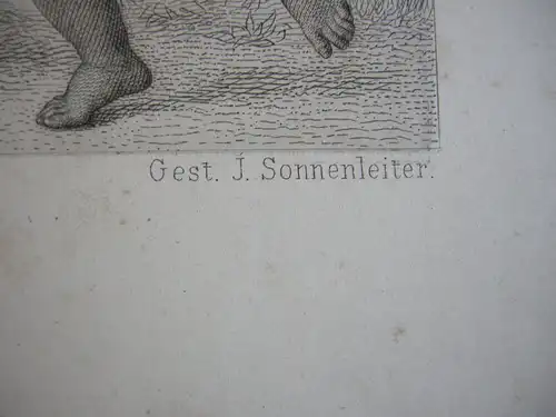 J Sonnenleiter (1825-1907) Ländliche Musik Allegorie Sommer Orig Stahlstich 1860