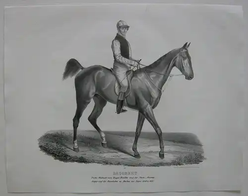 Rennpferd Dagobert Fuchs-Wallach Orig. Lithografie Winckelmann u. Söhne 1835