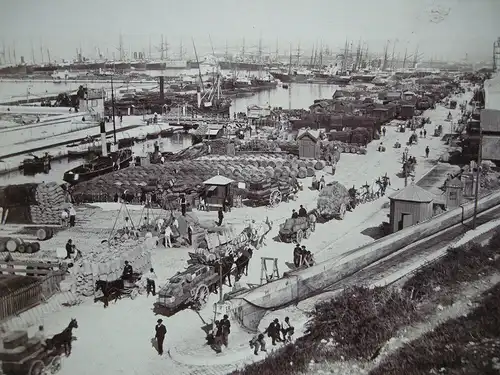 Marseille Quai et Bassin de la Joliette France Foto Albumin 1880 Menton Palmiers