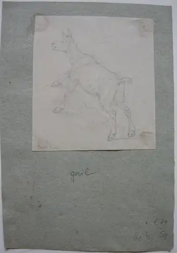 Wilhelm Gail (1804-1890) Zicklein Orig Bleistiftzeichnung signiert um 1850