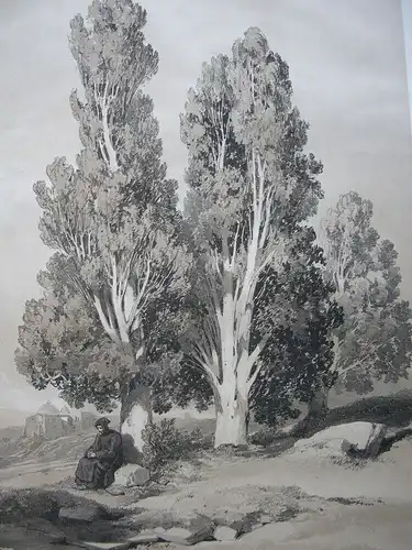 Alexandre Calame (1810-1864) Zypressen Mönch getönte Orig. Lithografie 1850