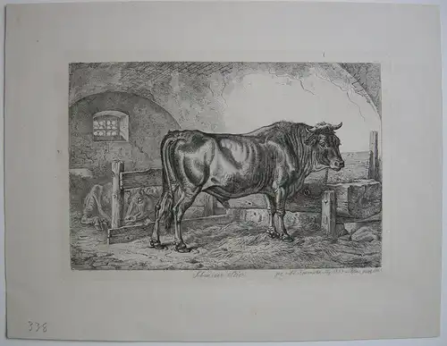 Johann Adam Klein (1792-1875) Schweizer Stier Rosenau Nürnb Orig Radierung 1843