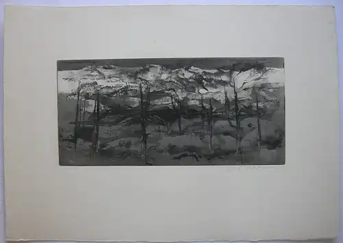 Rudolf Weissauer (1924-1989) Landschaft Orig Aquatinta signiert 1980