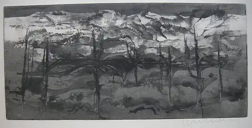 Rudolf Weissauer (1924-1989) Landschaft Orig Aquatinta signiert 1980