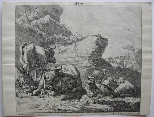Joh. Heinr. Roos (1631-1685) Kühe Schaf Ziegen vor Felsen Orig Kupferstich 1670