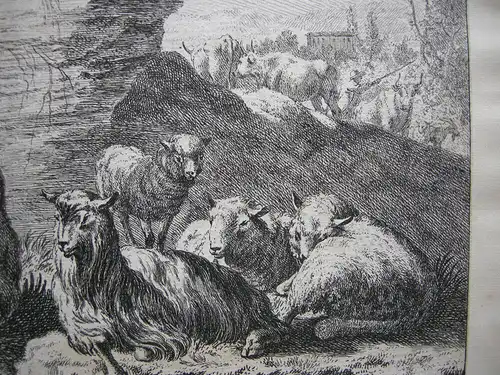 Joh. Heinr. Roos (1631-1685) Kühe Schaf Ziegen vor Felsen Orig Kupferstich 1670