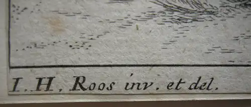 Joh. Heinr. Roos (1631-1685) Kühe Schaf Ziegen vor Felsen Orig Kupferstich 1670