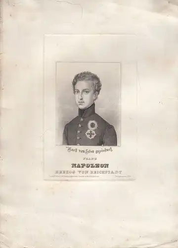 Franz Napoleon (1811-1832) Herzog von Reichstadt Orig Stahlstich 1830