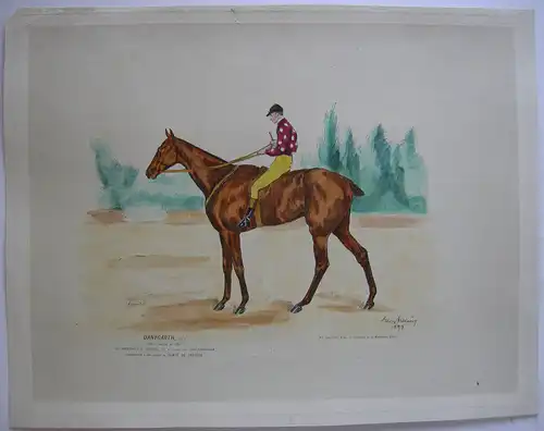 Rennpferd Danygarth Comte de Bresson Jockey kolor Orig Radierung Reymond 1897