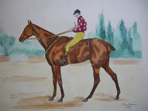 Rennpferd Danygarth Comte de Bresson Jockey kolor Orig Radierung Reymond 1897