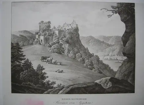 Ruinen von Aggstein Niederösterreich Orig Lithographie Alt Kunike 1824 Donau
