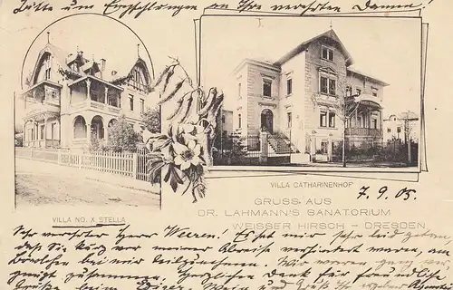 AK Dresden Villa Stella Catharinenhof Lahmann's Sanatorium gel 1905 Sachsen