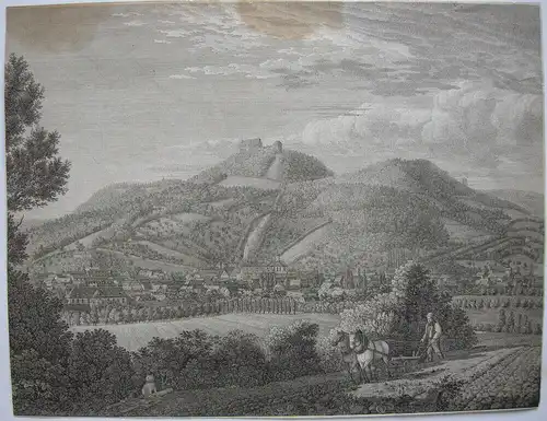 Eisenach Gesamtansicht Thüringen Wartburg Orig. Kupferstich E. C. Schmidt 1831