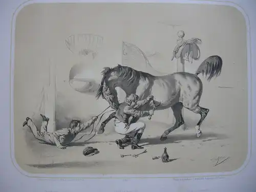 Pferde-Launen kolor Orig Lithografie Tony Strassgschwandtner 1860