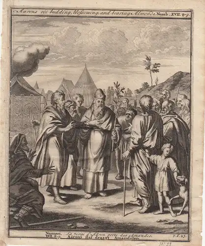 Aarons Stab trägt Mandeln Numeri Bibel Orig Kupferstich 1710