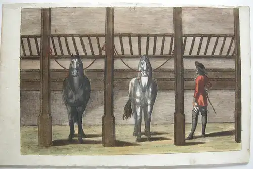 Peter Troschel Im Stall Kopfleine kolor Kupferstich 1678 Pferdedressur