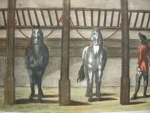 Peter Troschel Im Stall Kopfleine kolor Kupferstich 1678 Pferdedressur