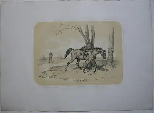 Pferd entledigt sich Sattel kolor Orig Lithografie Tony Strassgschwandtner 1860
