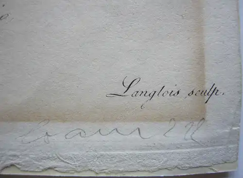 Pierre-Jos. Redouté Pancratium Illyricum kolor Orig Punktierstich 1815 Longlois