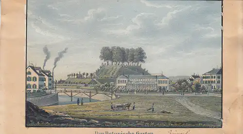 Zürich Botanischer Garten Orig Farblithografie 1830 Schweiz