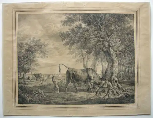 Kaspar Auer "Ein wütender Stier" Inkunabel Lithographie 1817