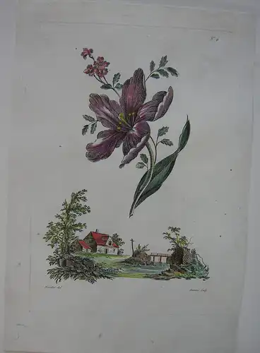 Wiesenblumen kolor Orig Kupferstich in Crayonmanier Auvray nach Naudet 1790