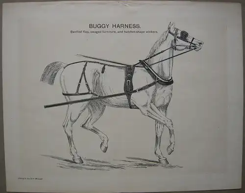Buggy Harness Pferdegeschirr leichter Einspänner Orig Lithografie 1880