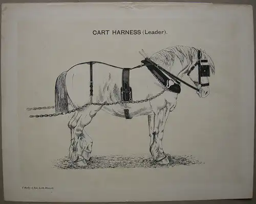 Cart Harness (Leader) Pferdegeschirr Leitpferd Fuhrwerk Orig Lithografie 1880