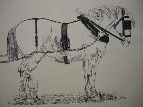 Cart Harness (Leader) Pferdegeschirr Leitpferd Fuhrwerk Orig Lithografie 1880