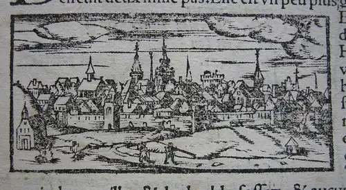 Braunschweig Miniaturansicht Holzschnitt aus Seb Münster Cosmographie 1588