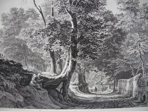 Georg H. Busse (1810-1868) Gegend bei Aricia Rom Roma Orig Radierung 1841