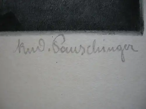 Rudolf Pauschinger (1882-1957) Herrenportrait Orig Aquatinta Braunton 1930 sign
