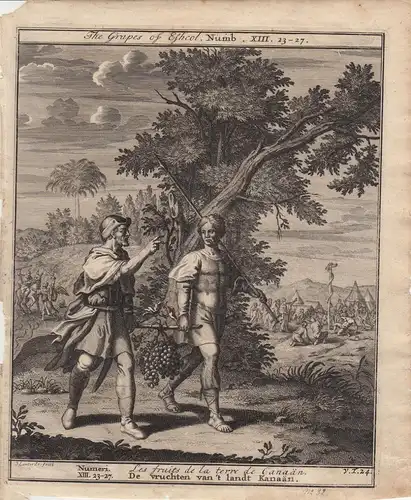 Früchte der Erde Canaans Numeri Bibel Orig Kupferstich 1710