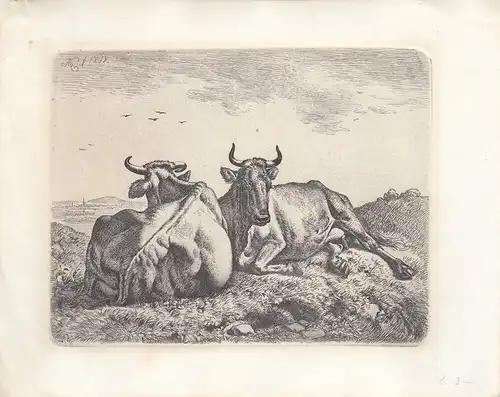 Johann Adam Klein (1792-1875) Liegende Kühe auf der Weide Orig Radierung 1818