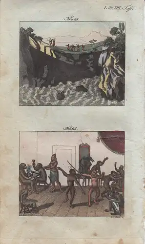 Königreich Gingiro Afrika Affen Levers Museum kolor Orig Kupferstich 1813