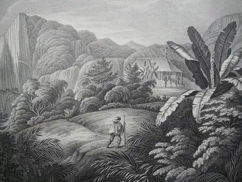 Chile Hacienda de Cassapi Orig Lithografie 1834 Sedlmayr